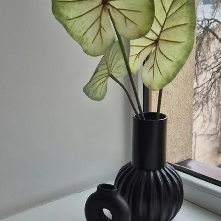 Private At Building アパート *